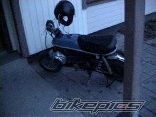 Photo 81008