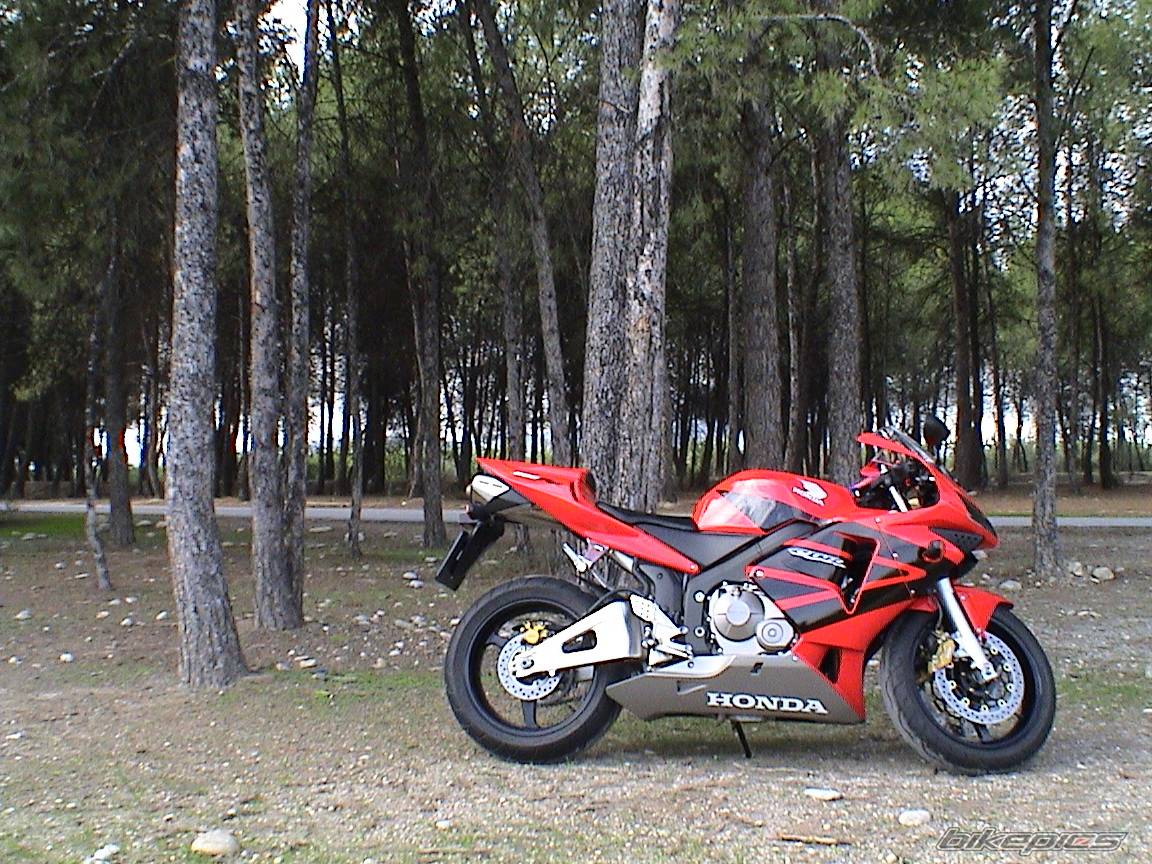 Bike Photo 81029