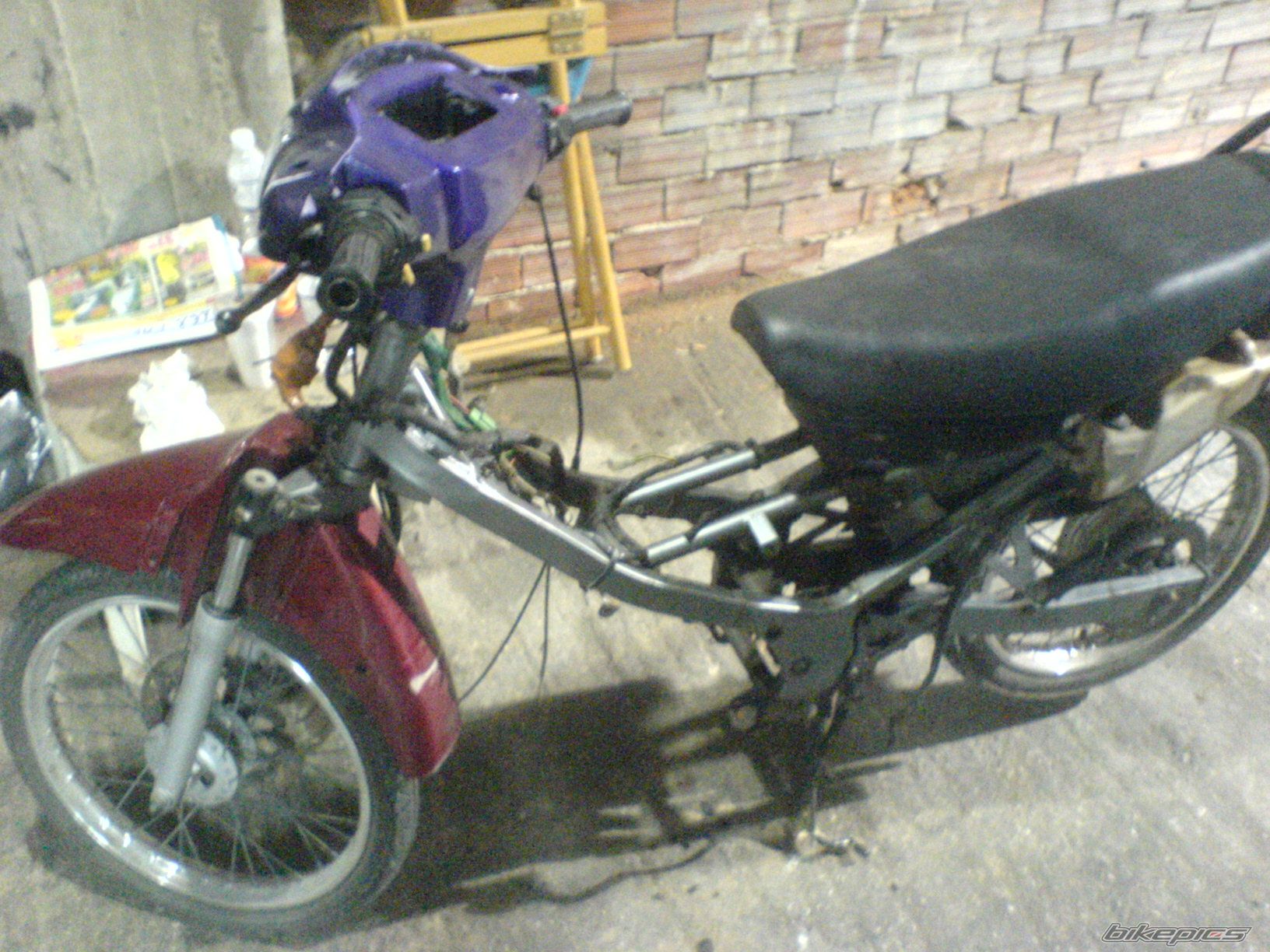 Photo 810303