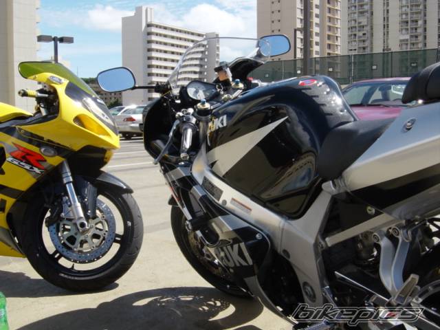 Photo 81081