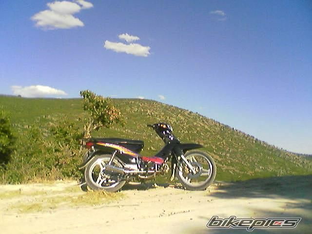 Photo 810825