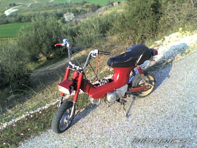 Photo 810830