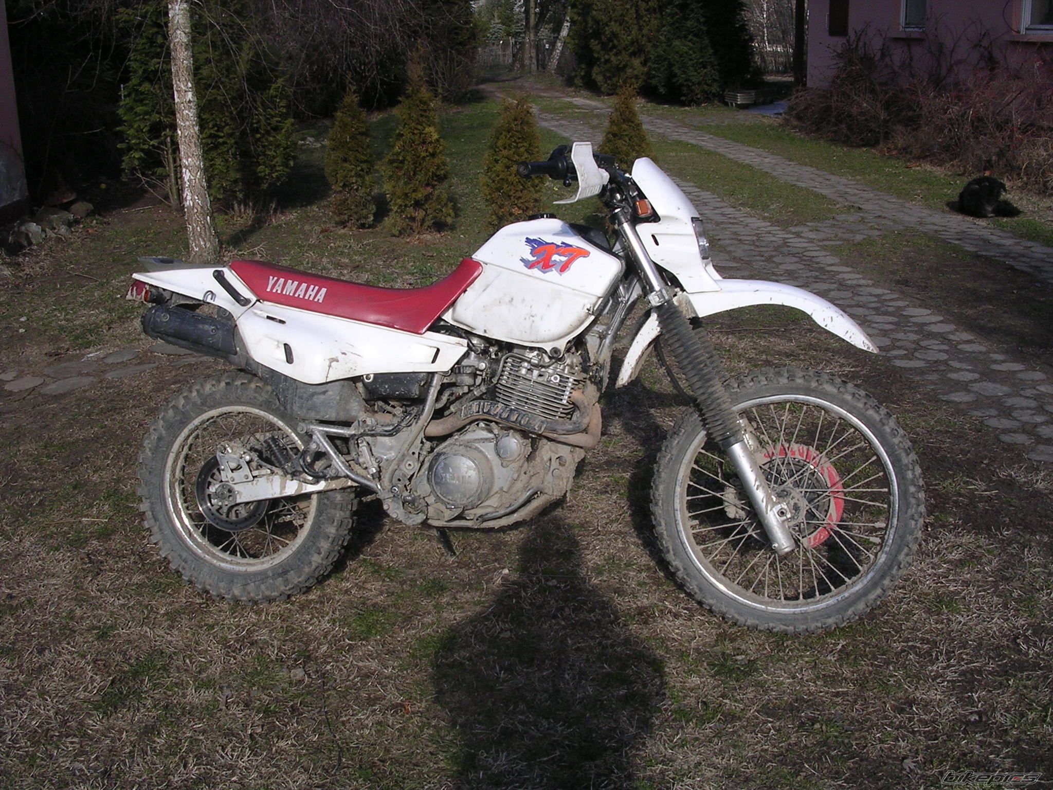 Bike Photo 810944