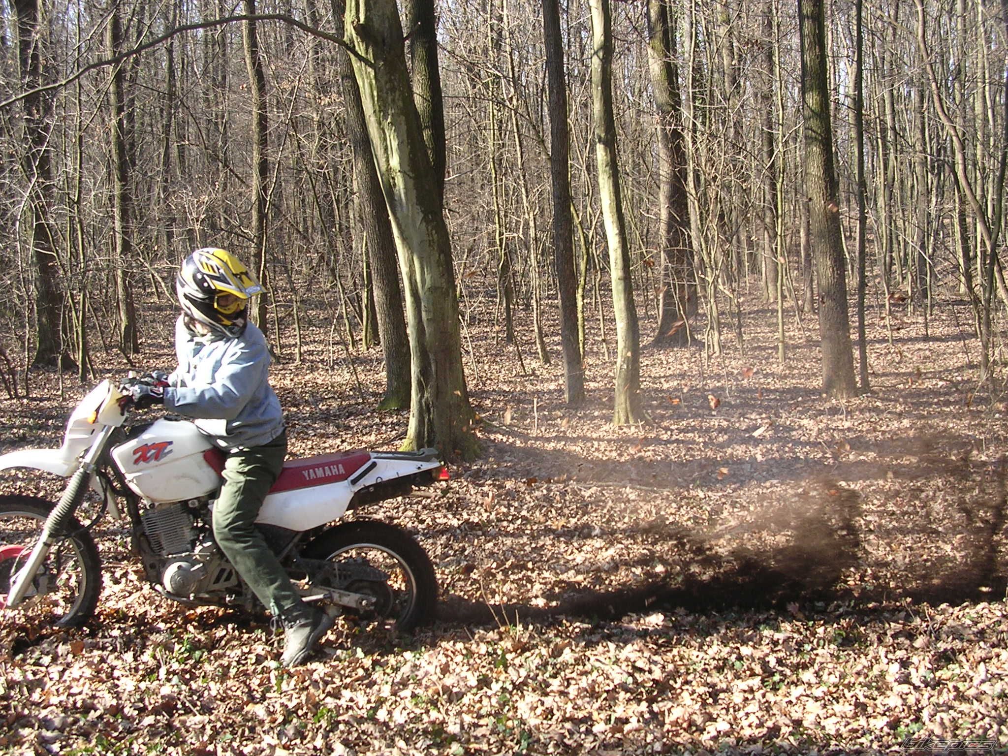 Bike Photo 810951