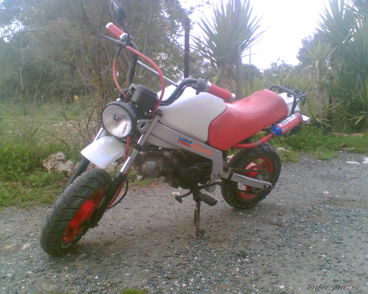 Photo 810987