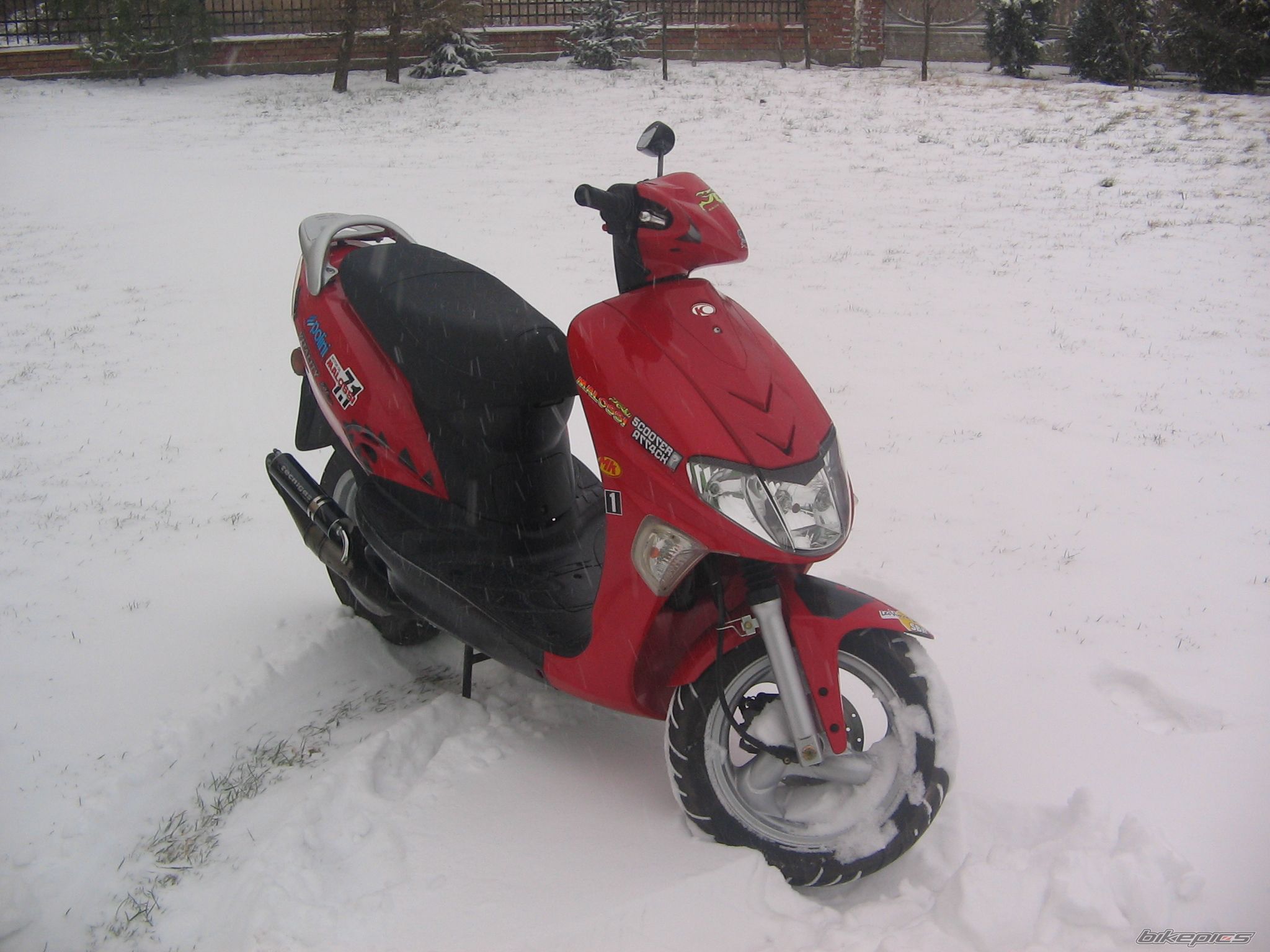 Photo 811458