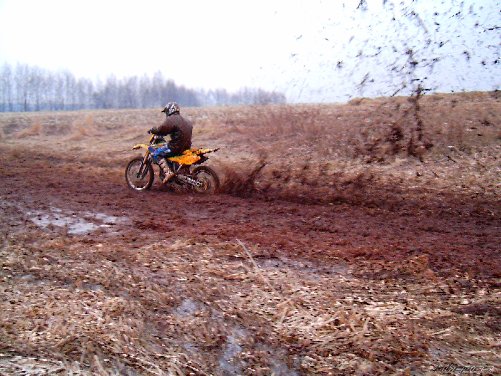 Photo 811630