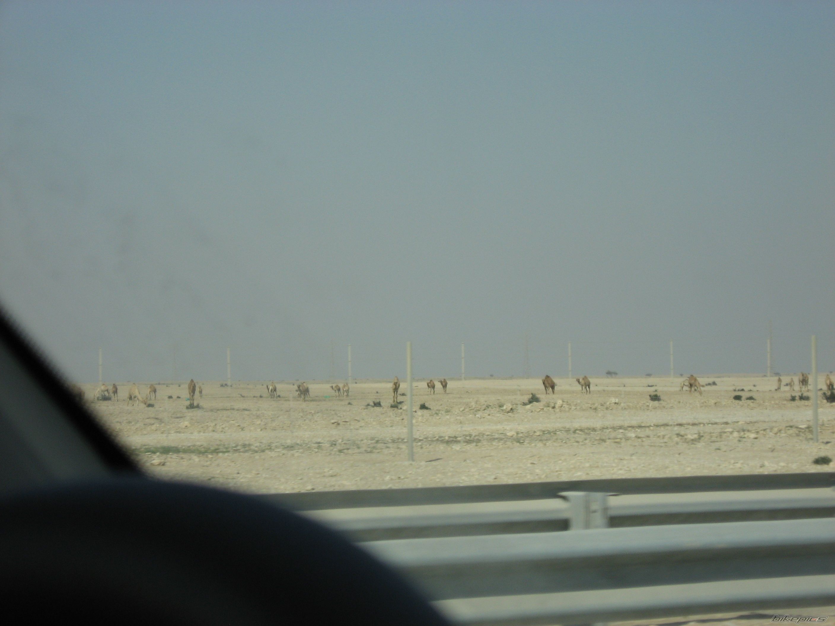 Photo 811934
