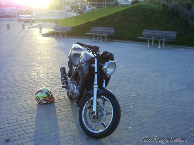 Bike Photo 81268