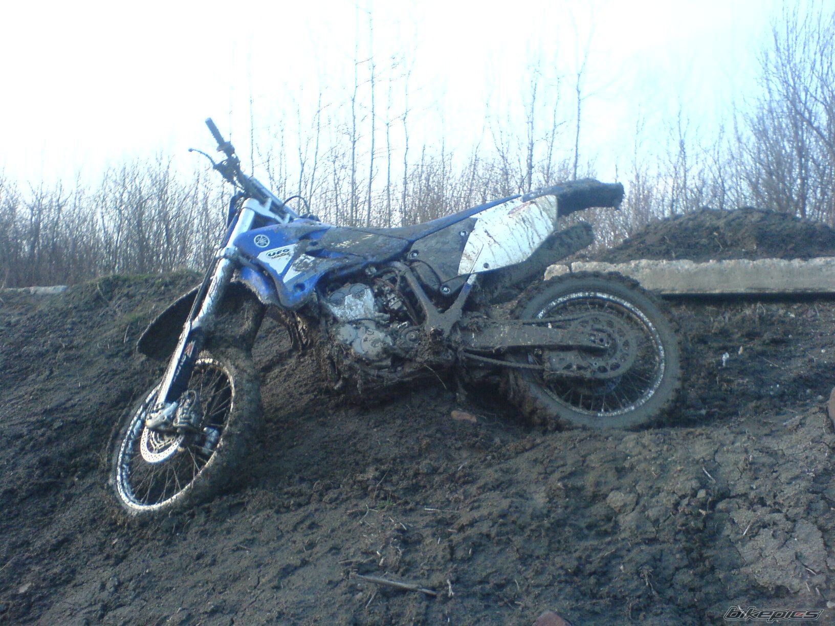 Photo 812731