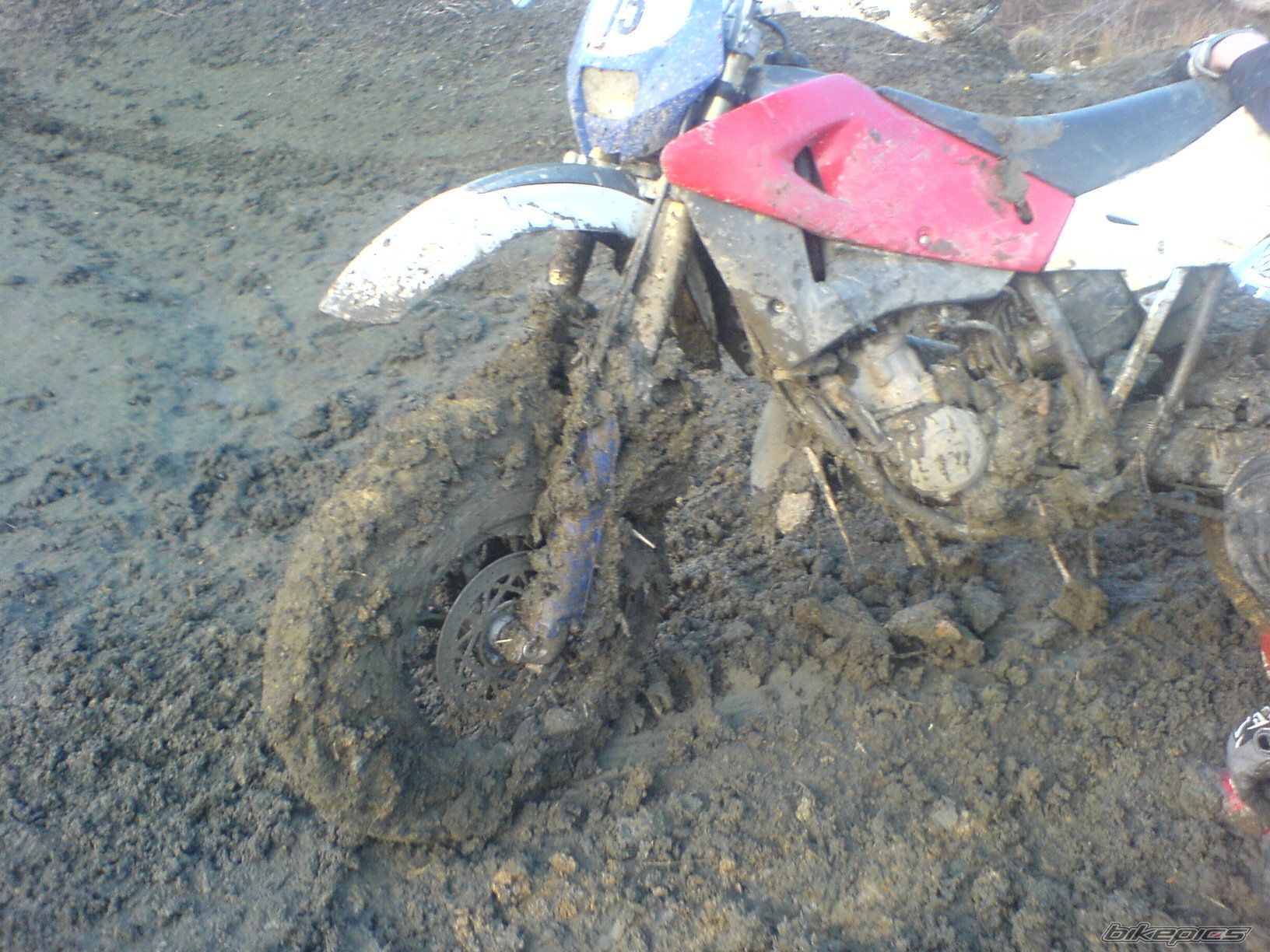 Photo 812749
