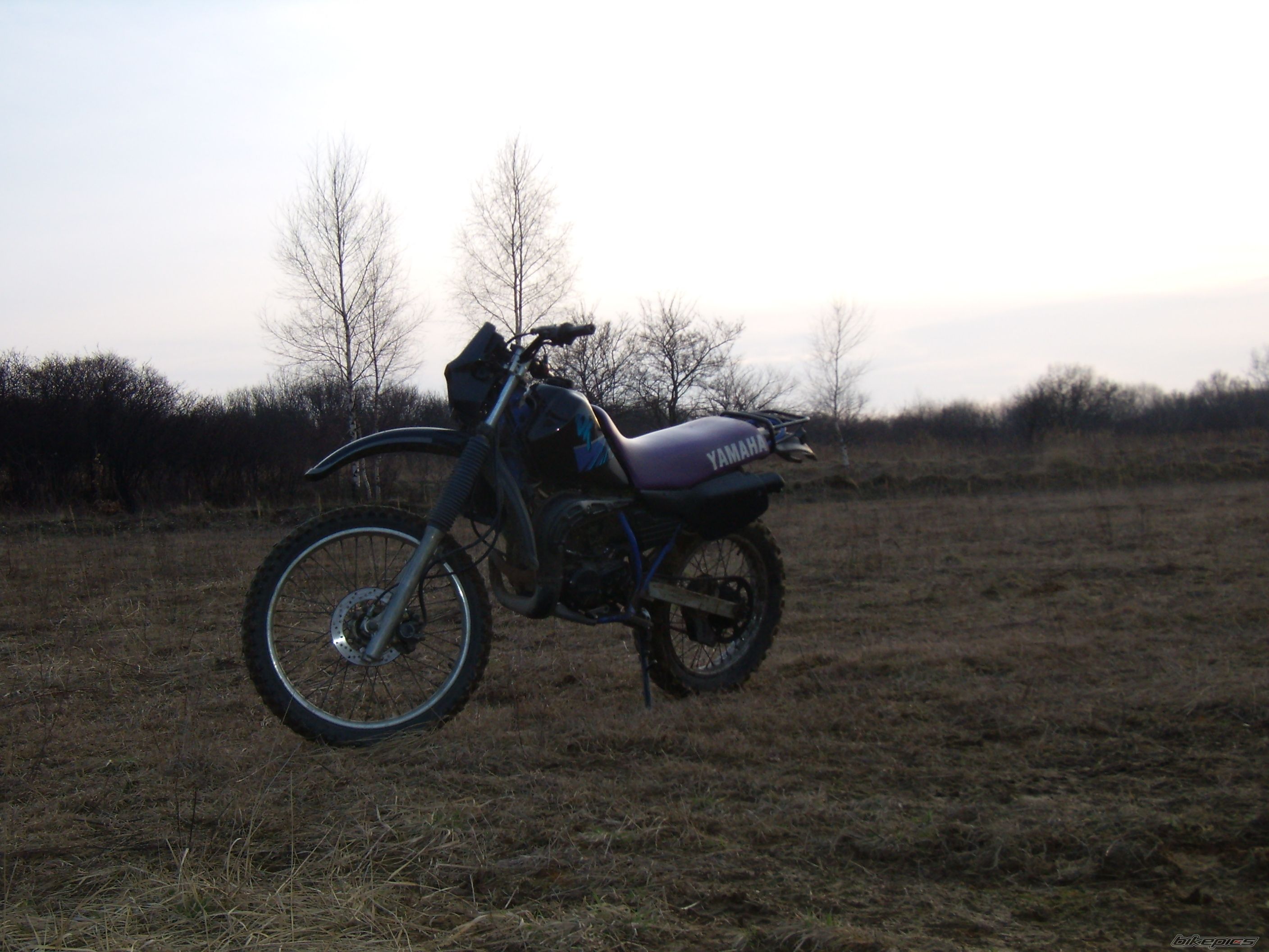 Photo 812815