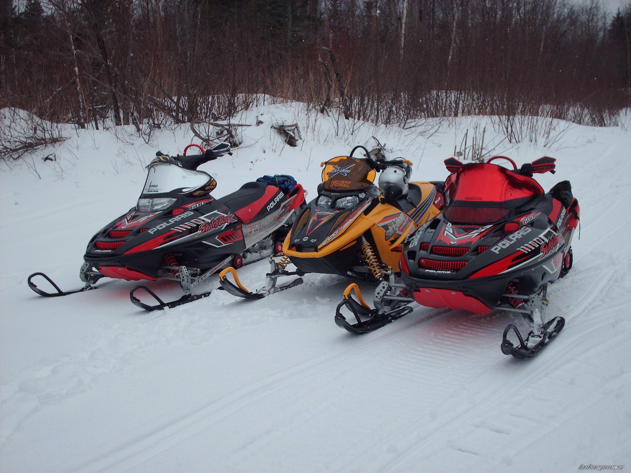 Photo 813021