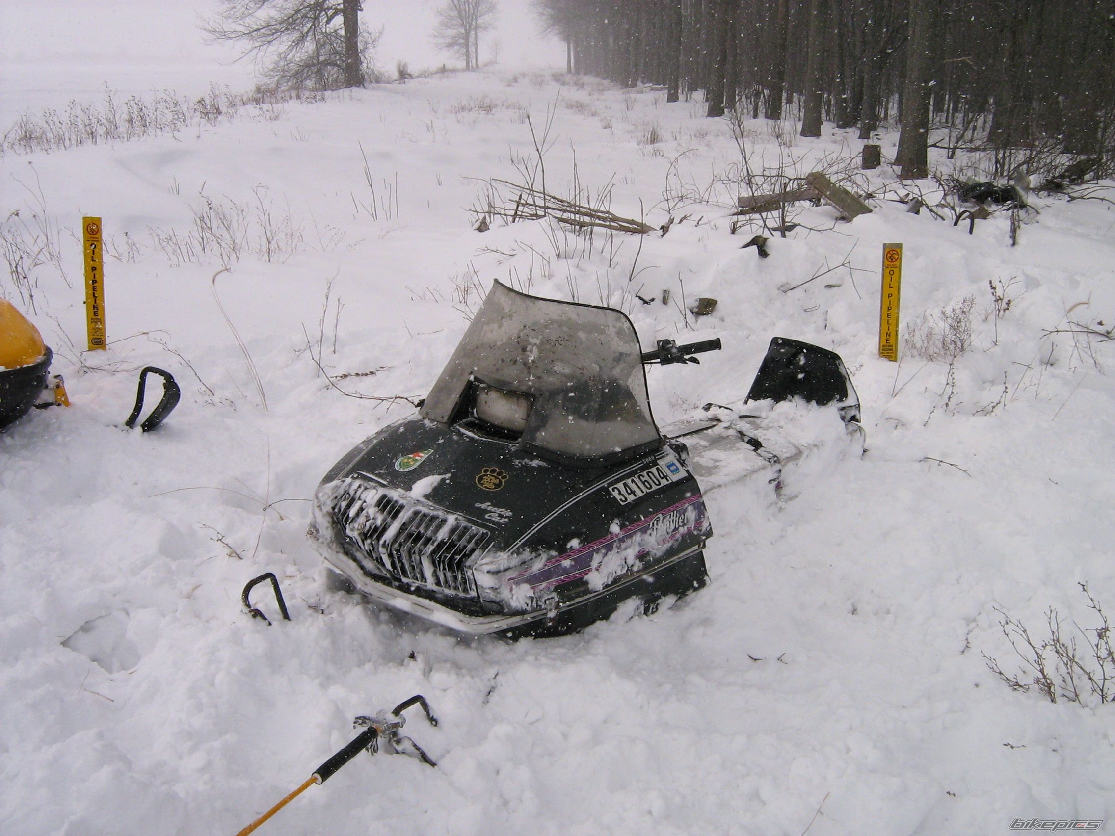 Photo 813234