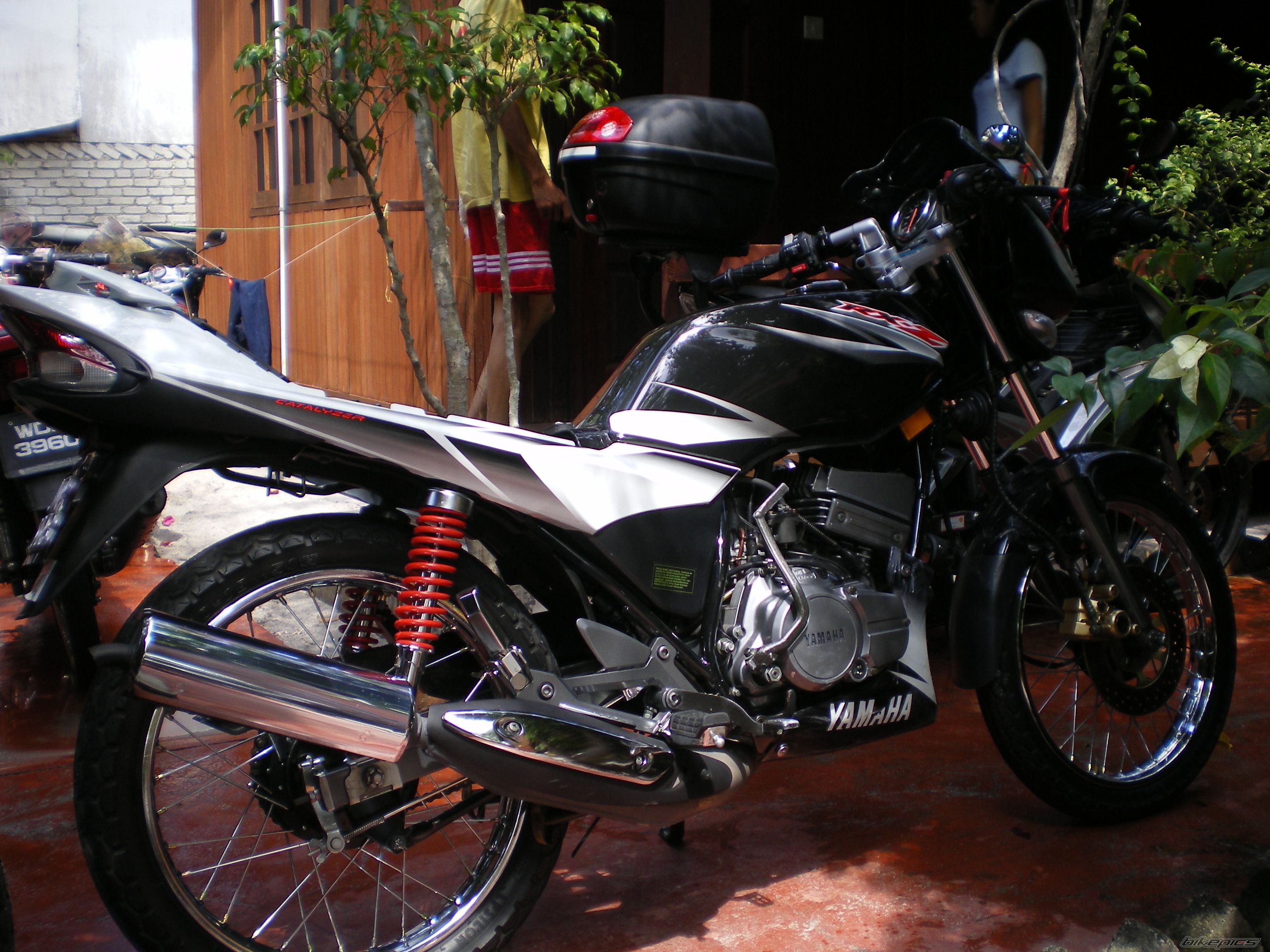 Photo 813532