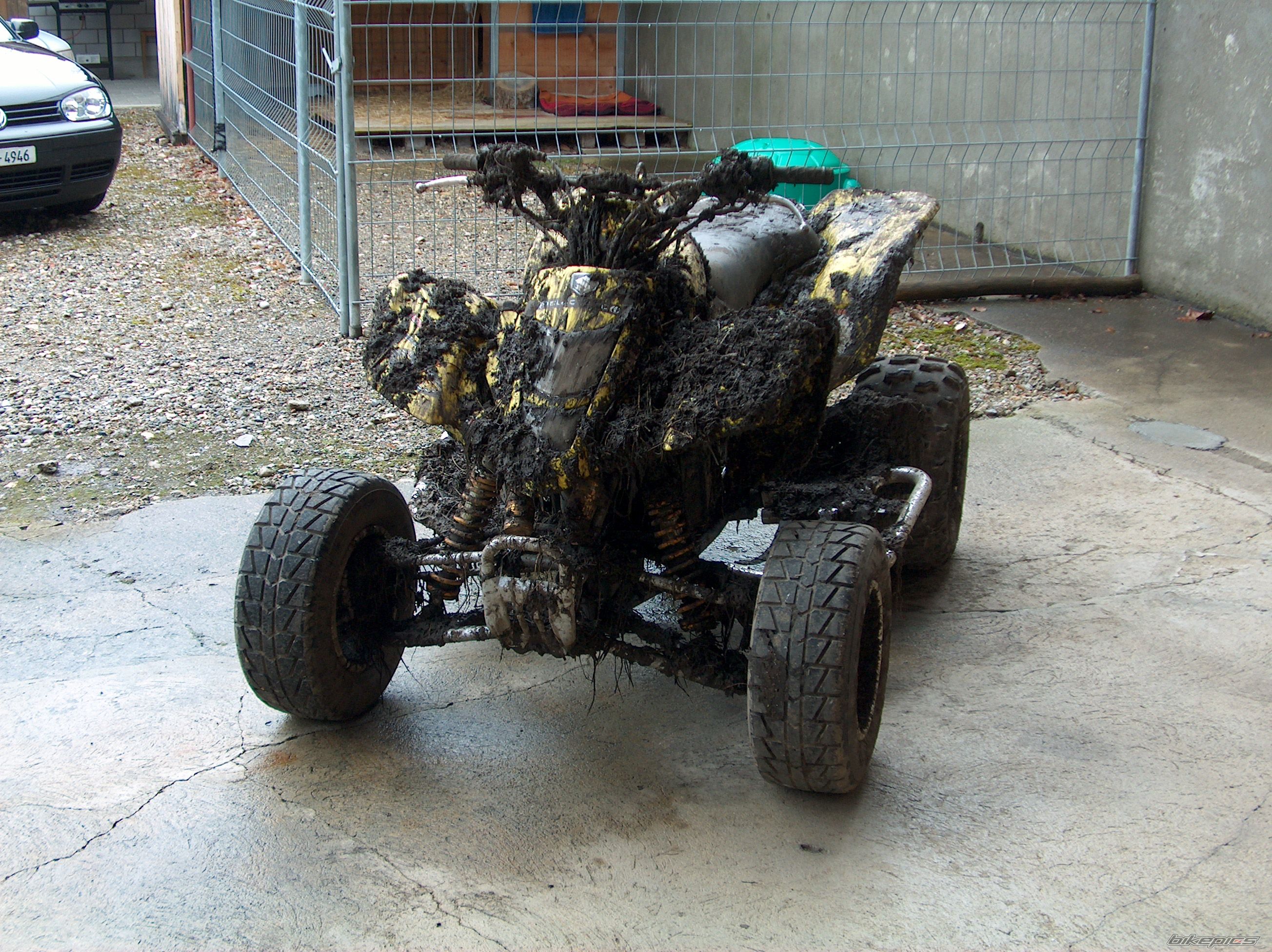 Photo 813728