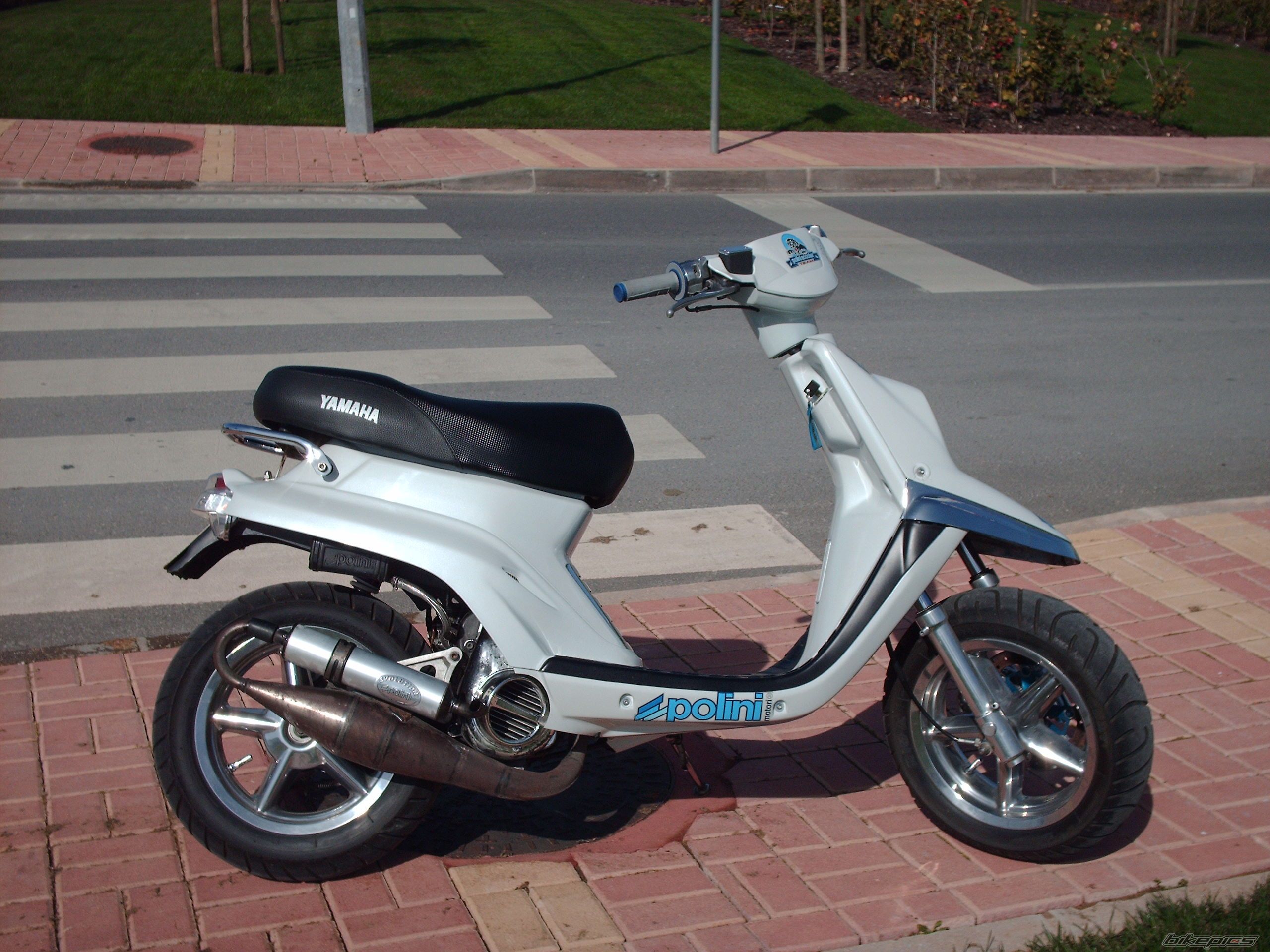 Photo 813729