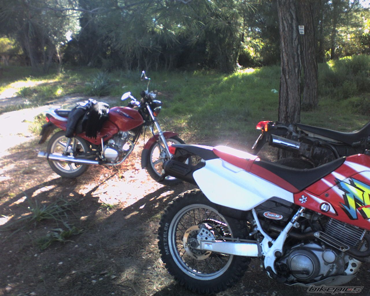 Photo 813736