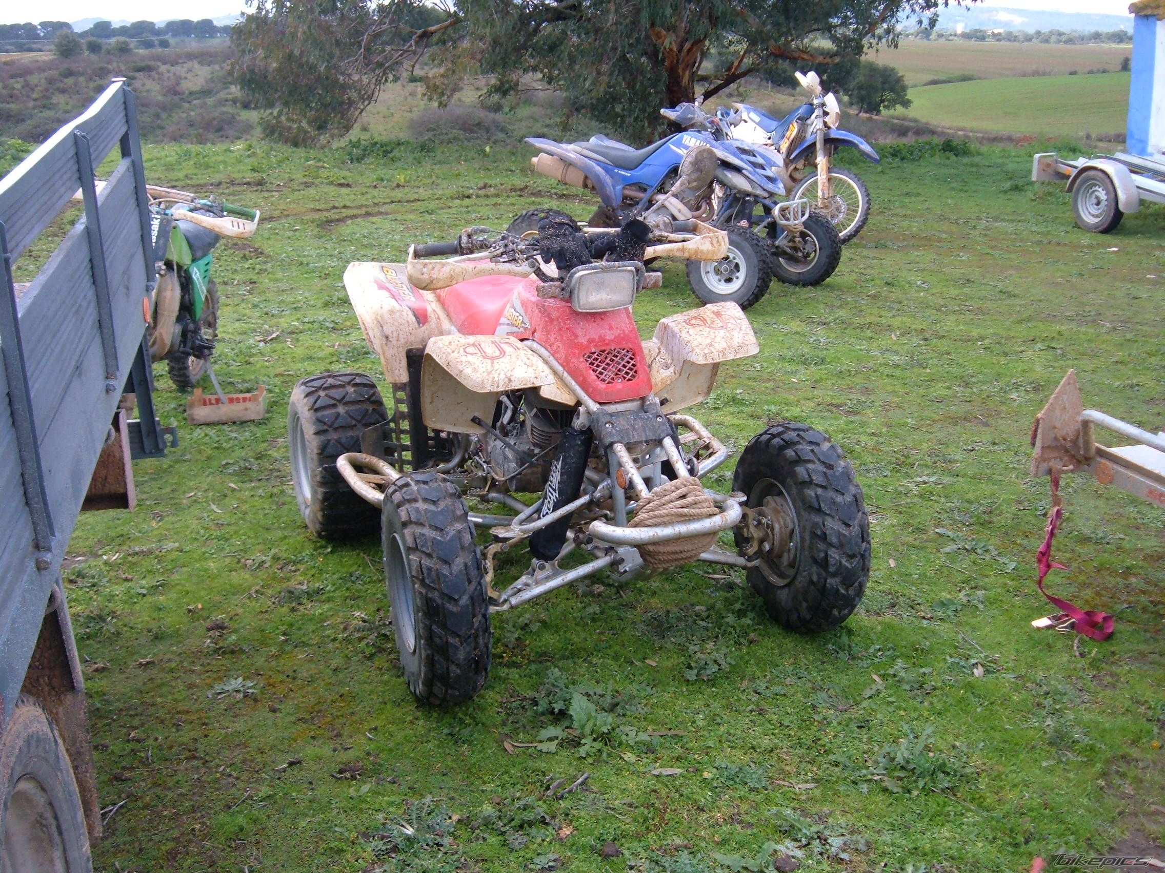 Photo 813805