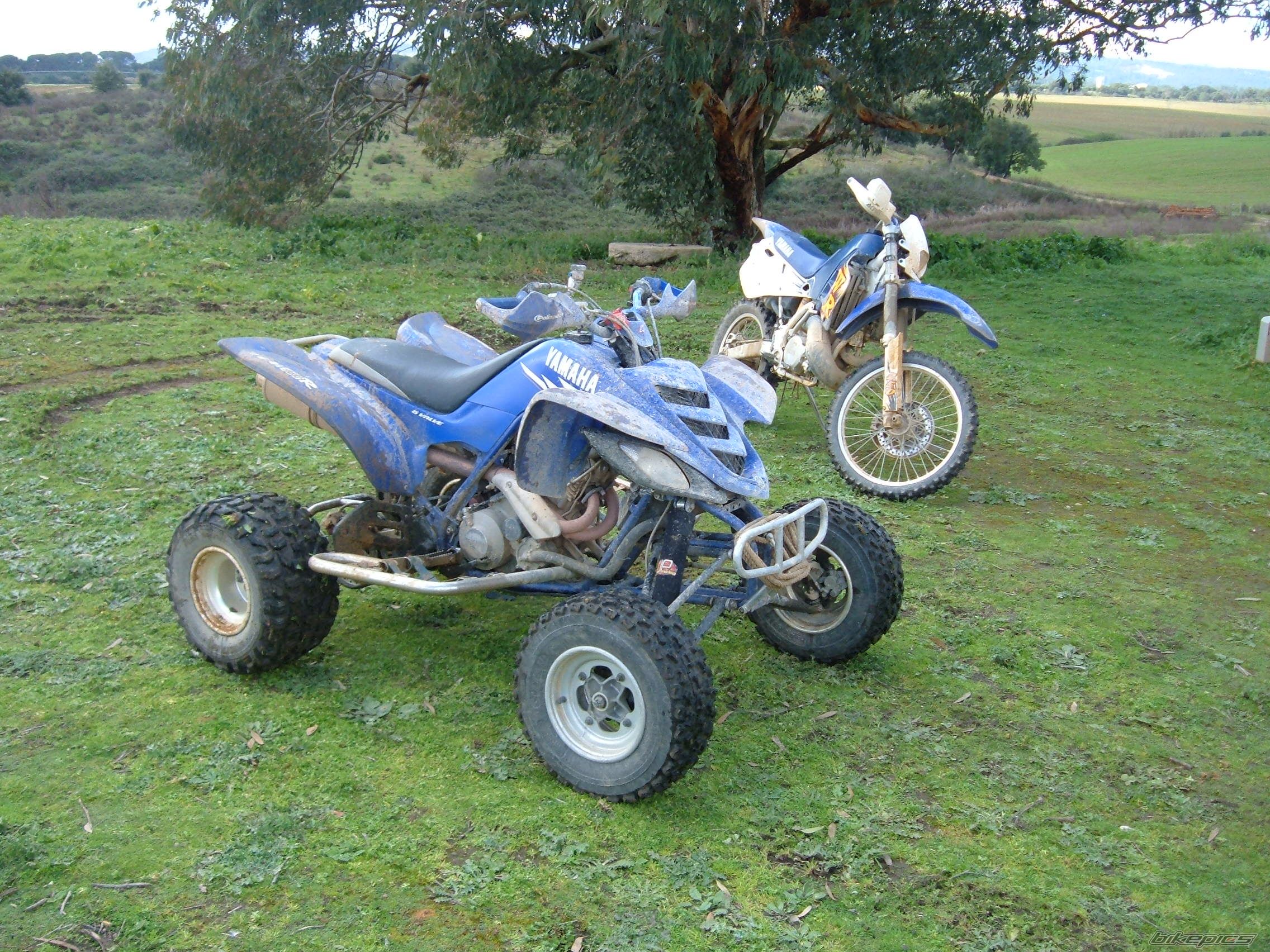 Bike Photo 813806