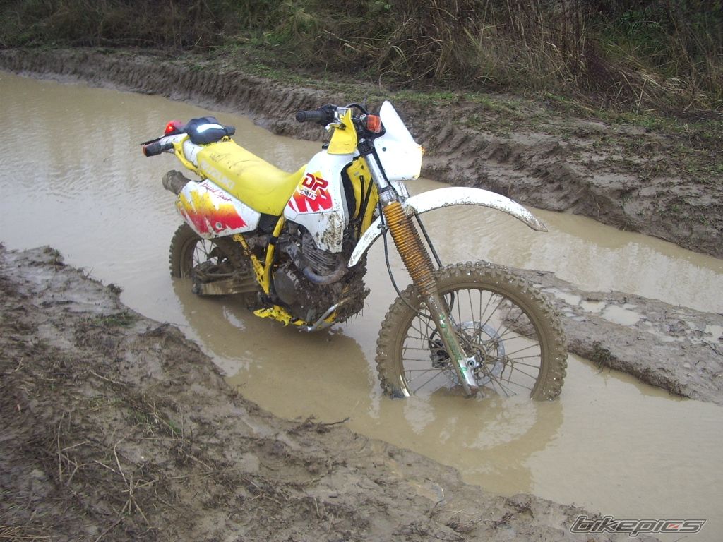 Bike Photo 814090