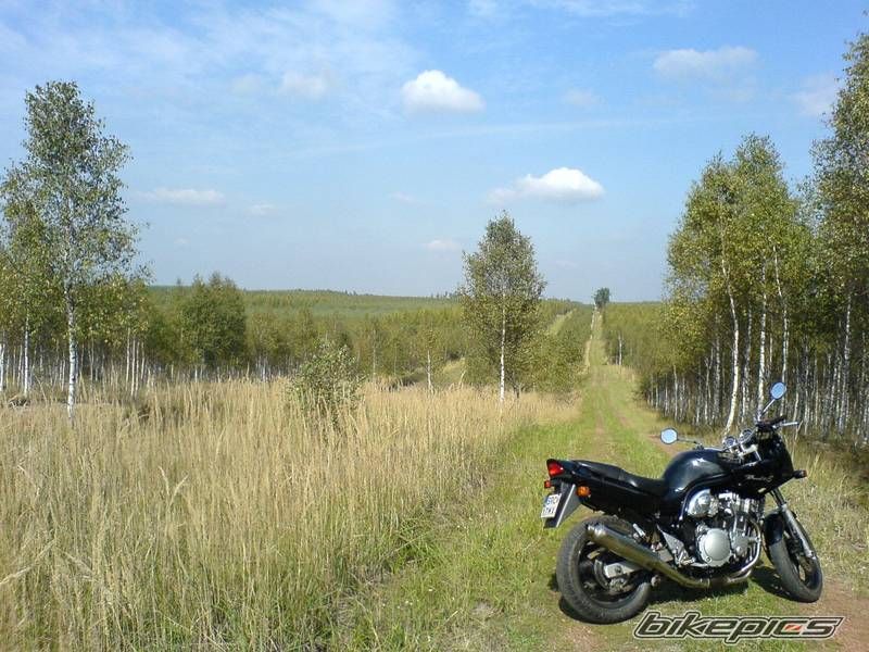 Photo 814155