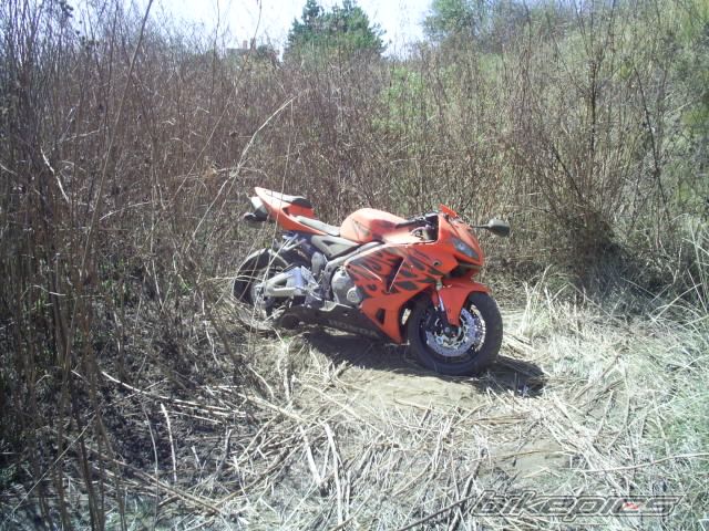 Photo 814157