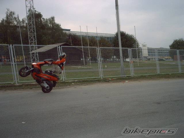 Photo 81442