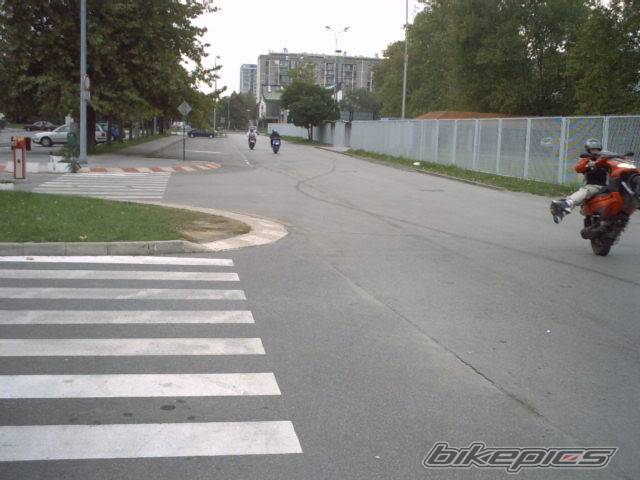 Photo 81444
