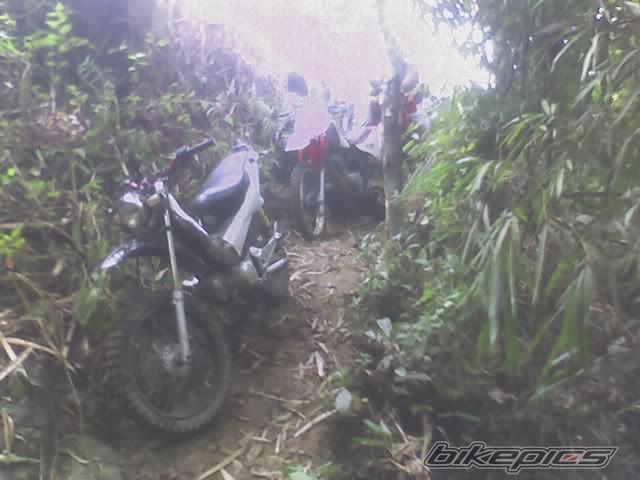 Photo 814754