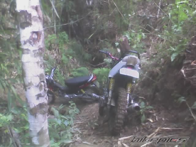 Photo 814757