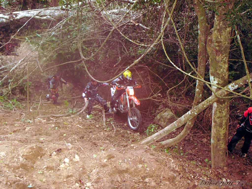 Bike Photo 81500