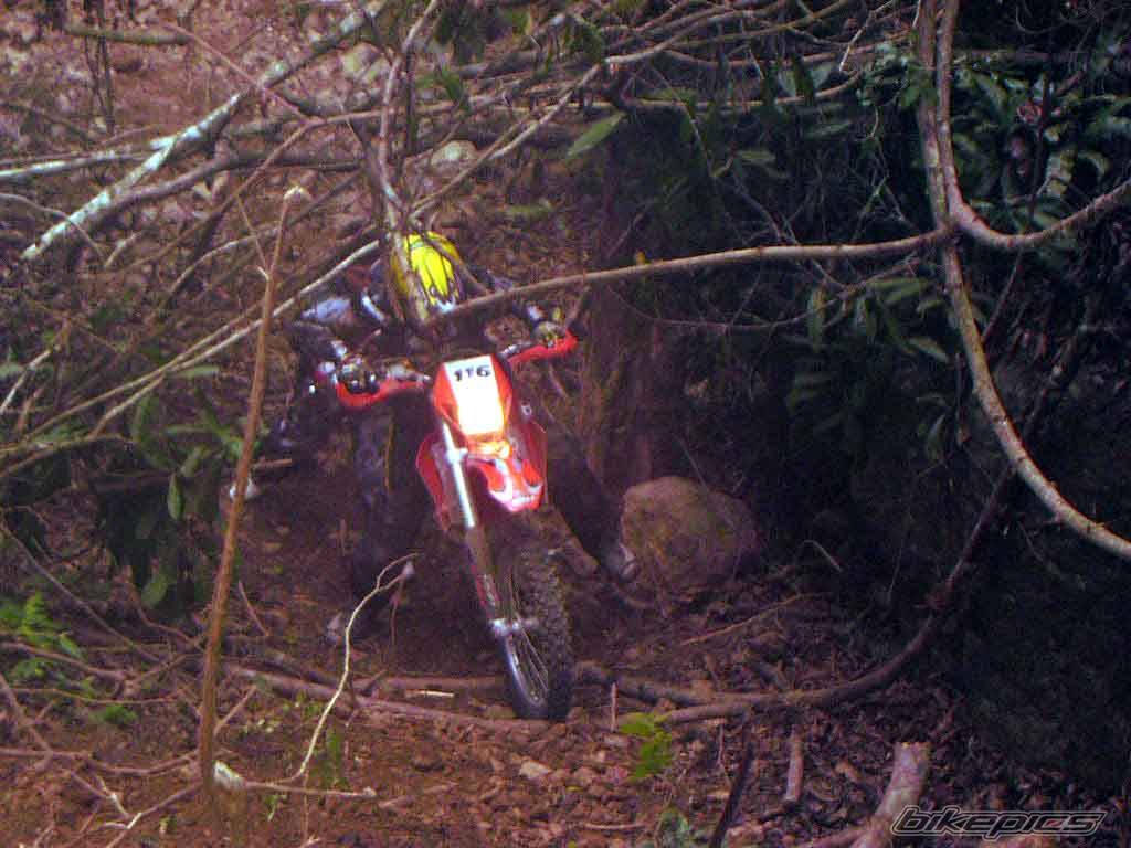Bike Photo 81501