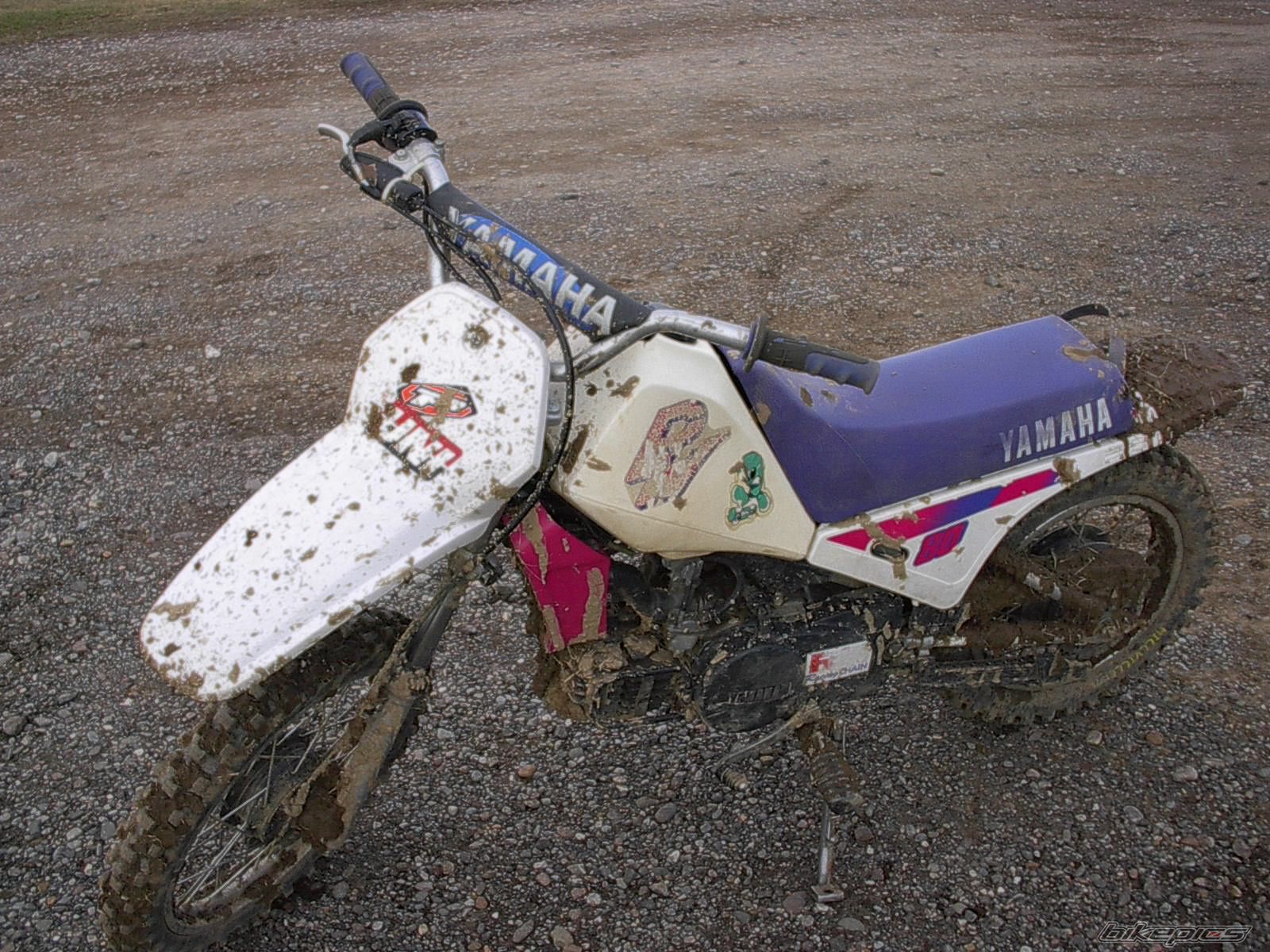 Photo 815032