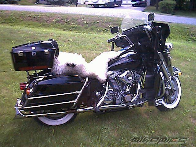 Bike Photo 81533