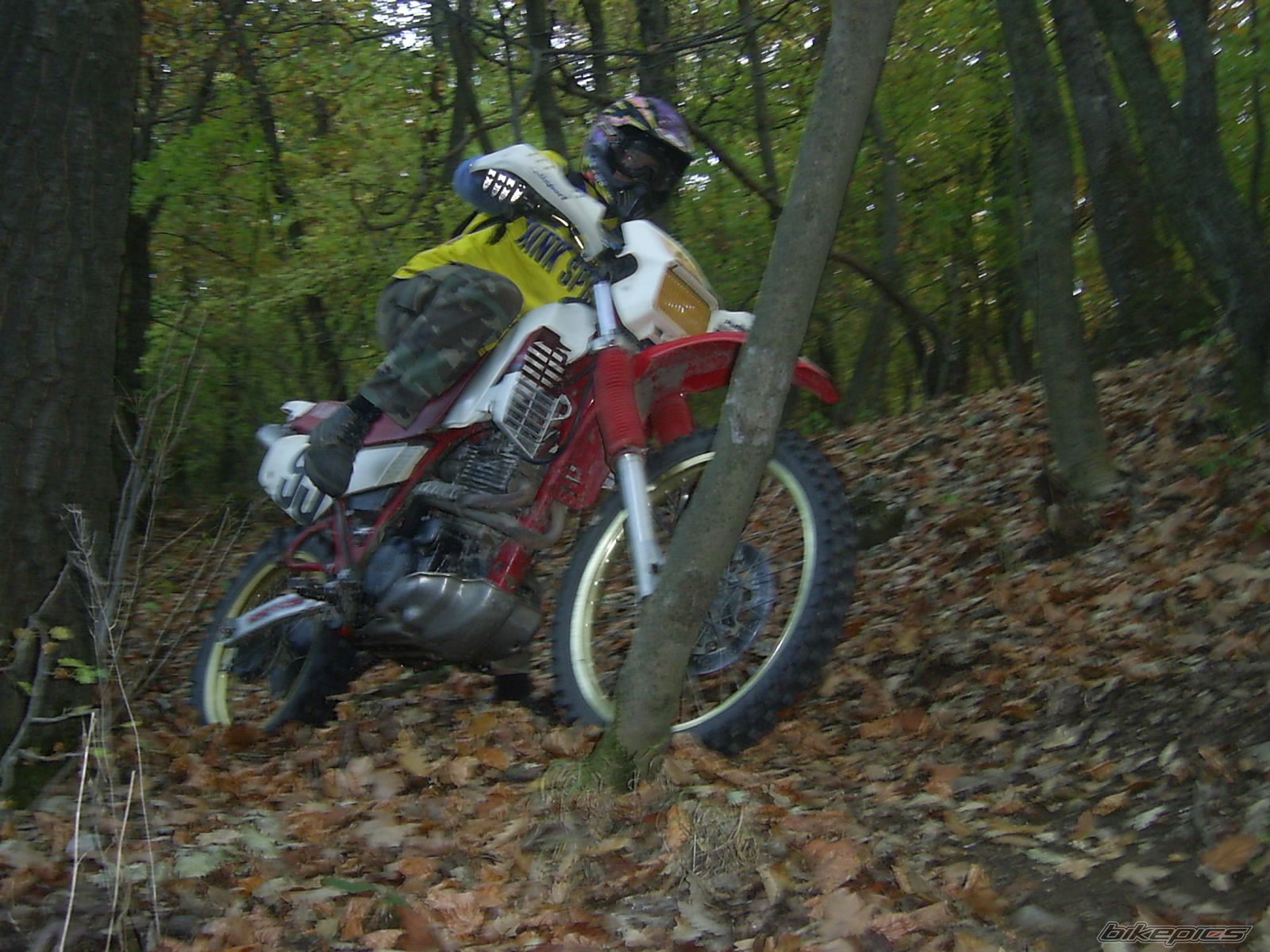 Bike Photo 815697