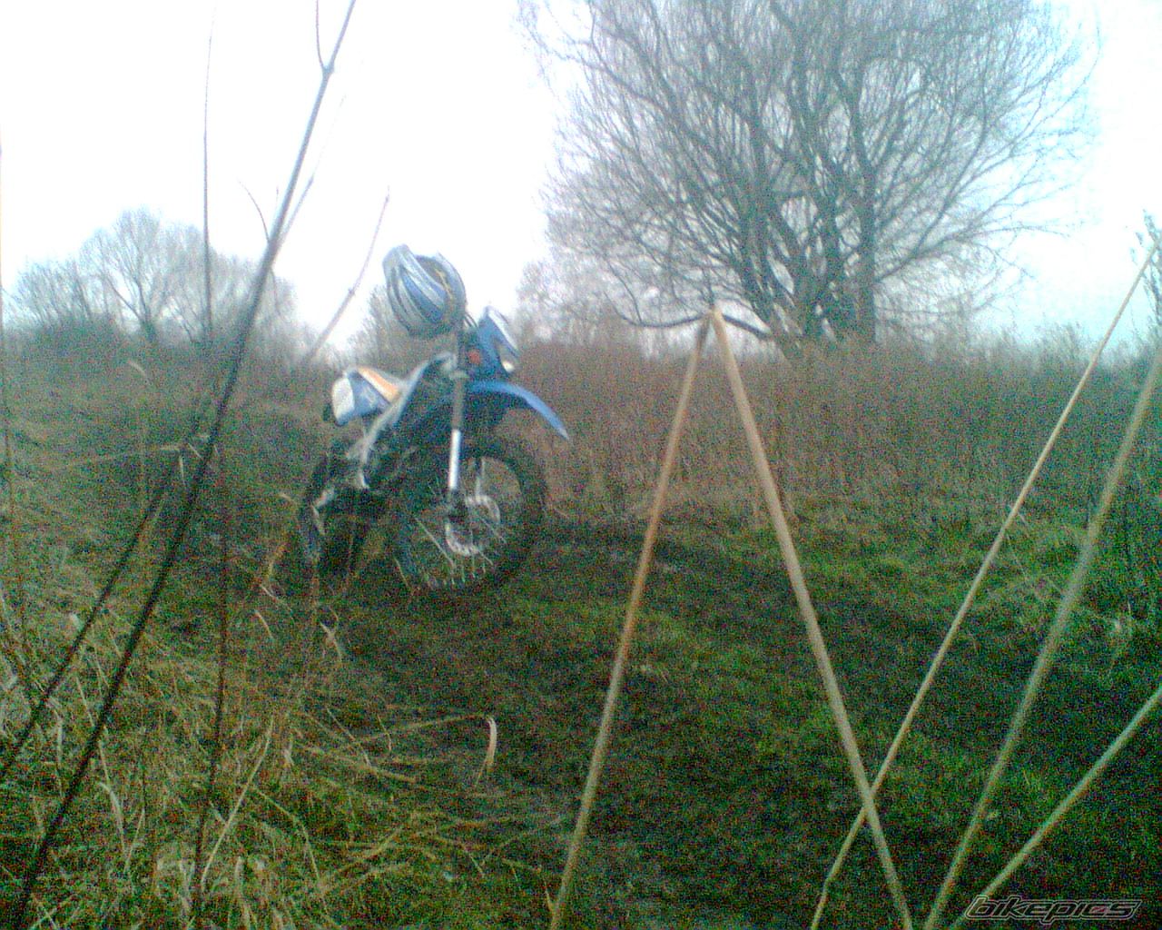 Bike Photo 815779