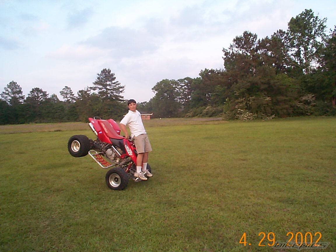 Photo 81623