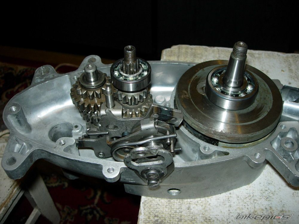 Photo 816429