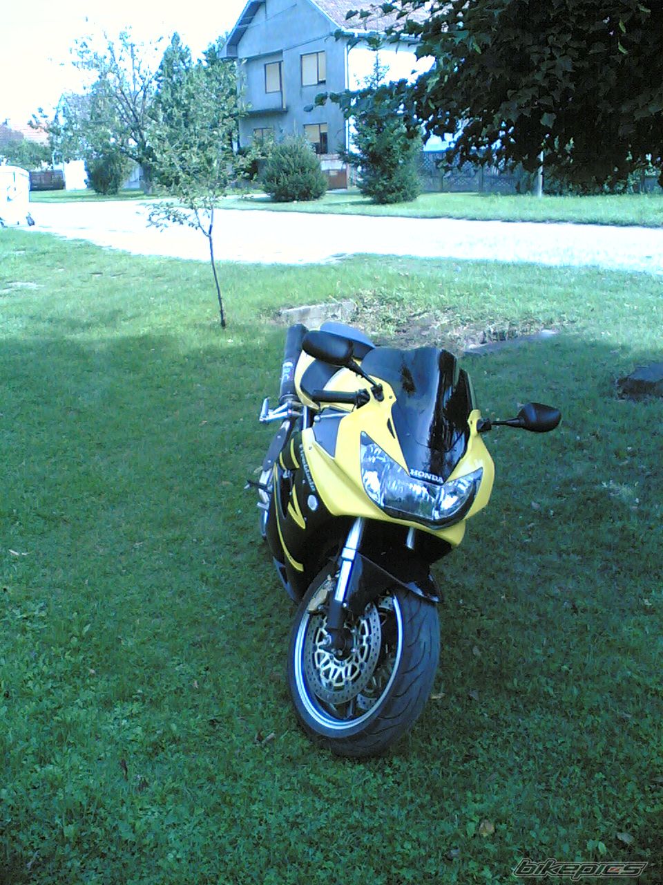Photo 816696