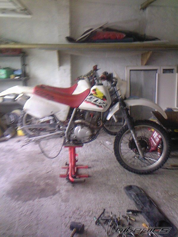Photo 817040