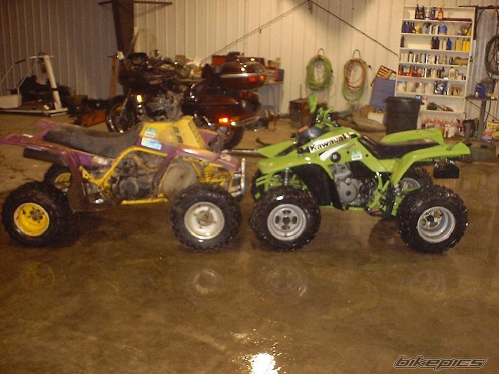 Photo 8171