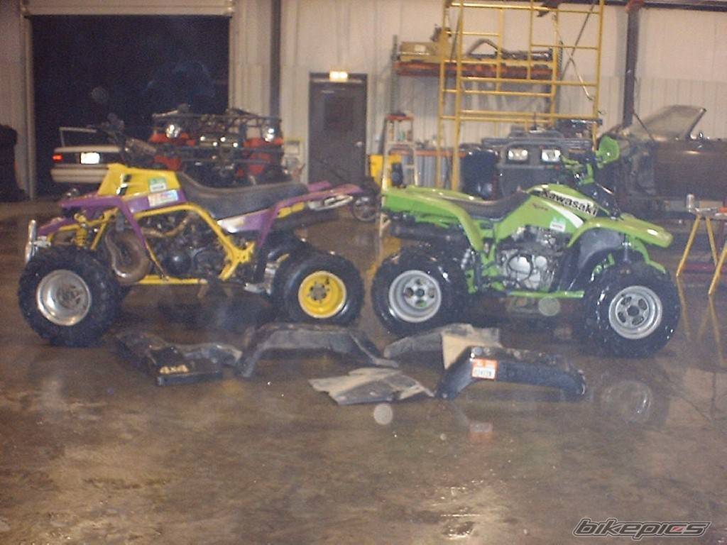 Photo 8172