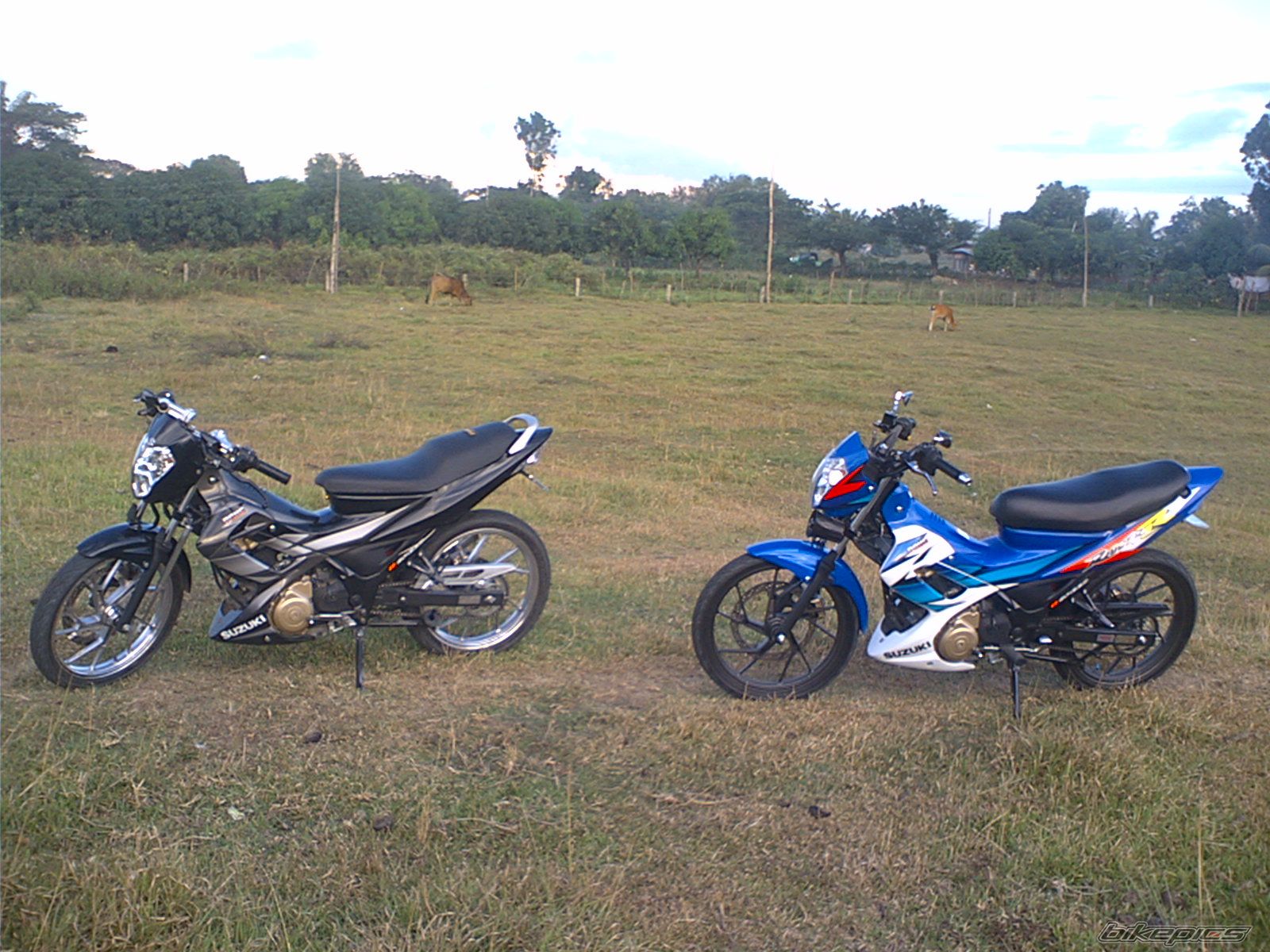 Photo 817328