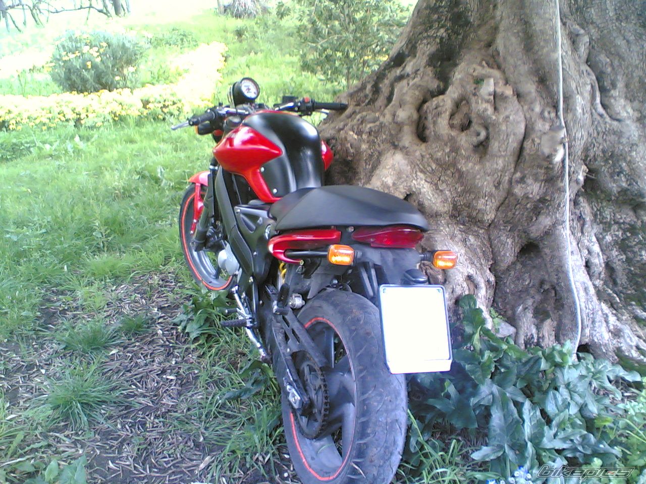 Photo 817442