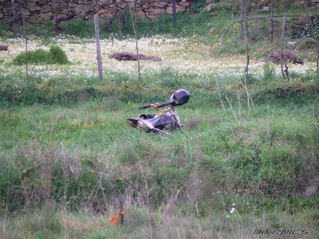 Photo 817634