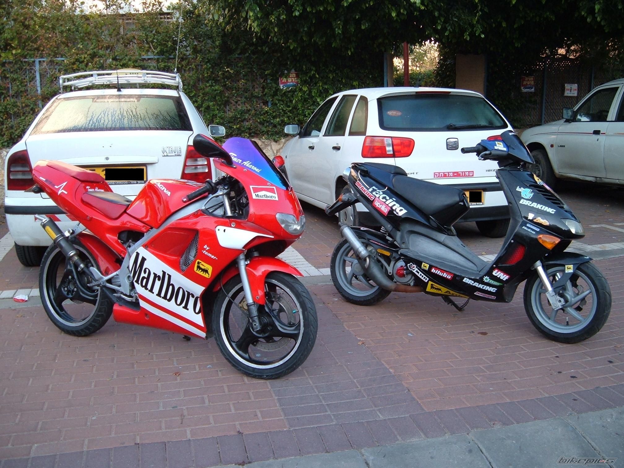 Photo 817722