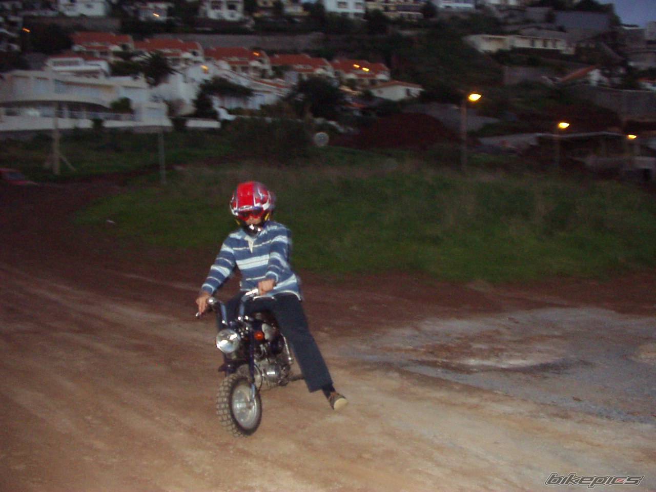 Photo 81773