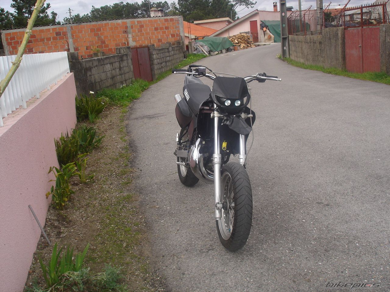 Photo 818053