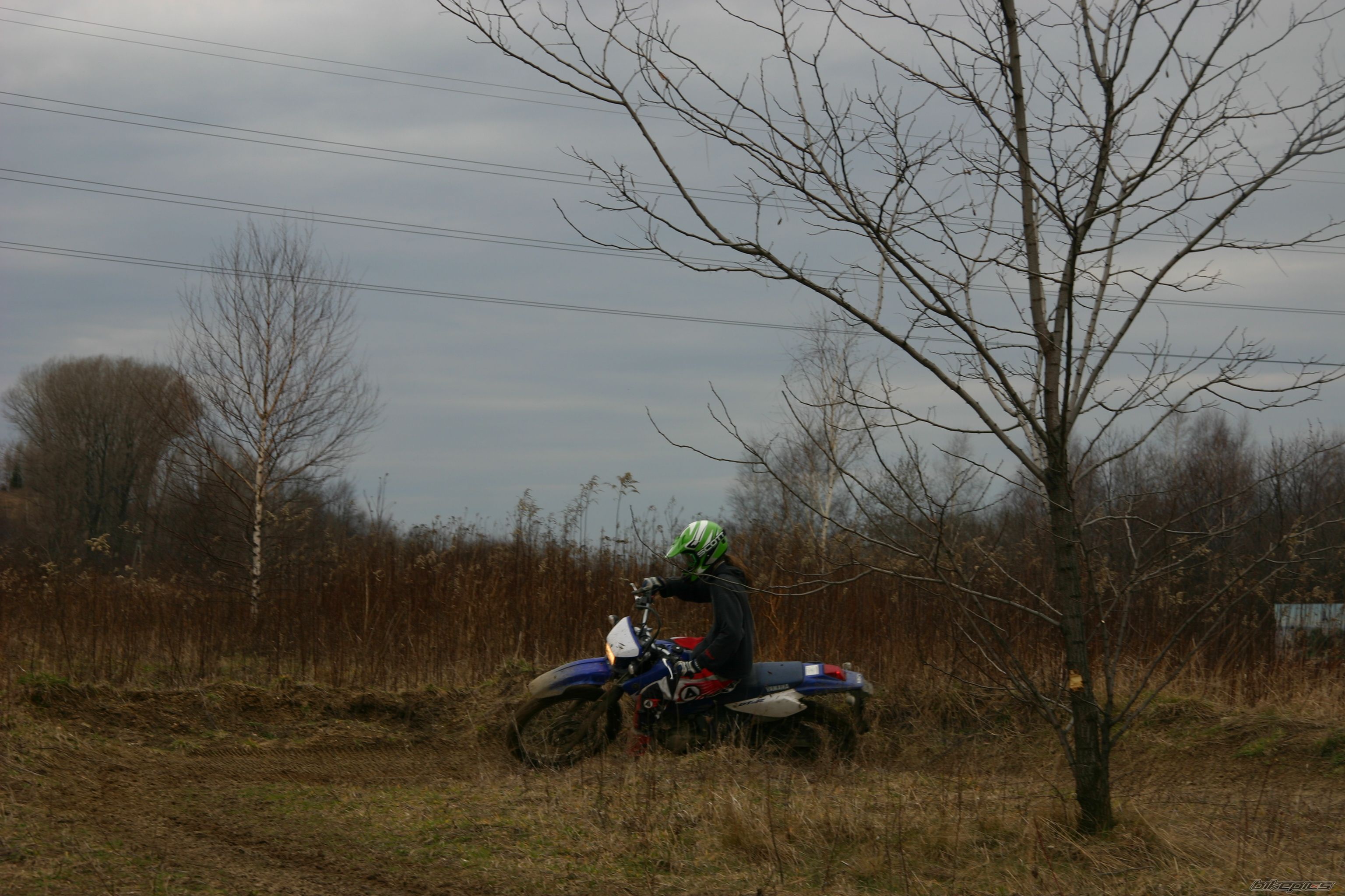Photo 818061